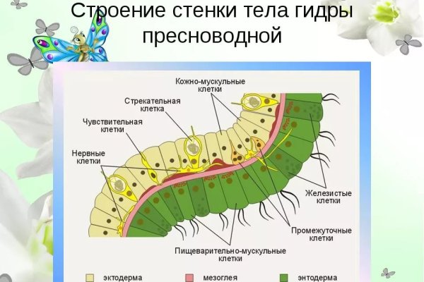 Кракен сайт вход